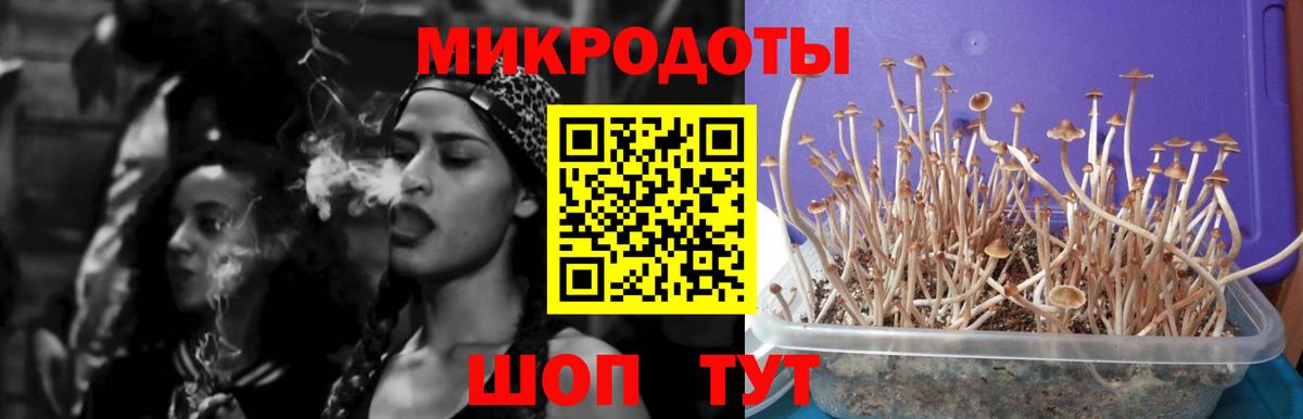 Ангарск  Галлюциногенные грибы Psilocybine cubensis  магазин продажи   Вход с VPN  Псилоцибиновые грибы Psilocybe 